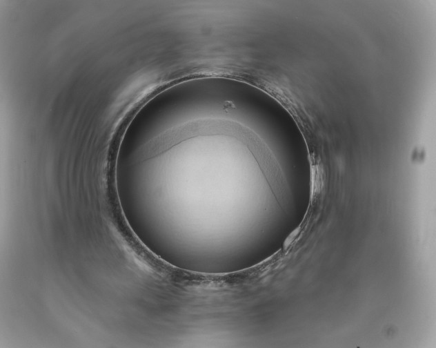 X0000091570243200709051045