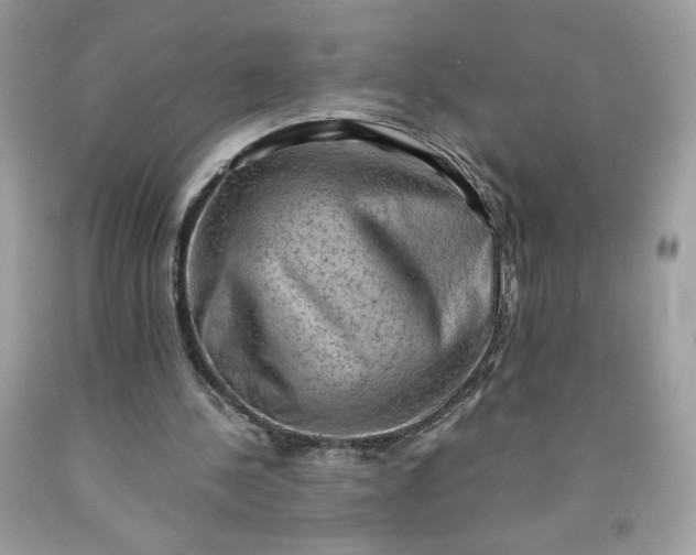 X0000091570244200709051045