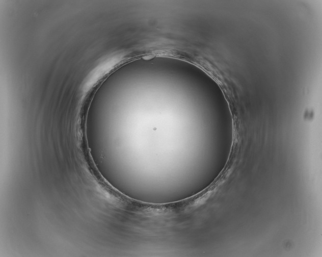 X0000091570245200709051045