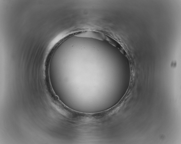 X0000091570246200709051045