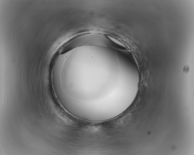 X0000091570247200709051045