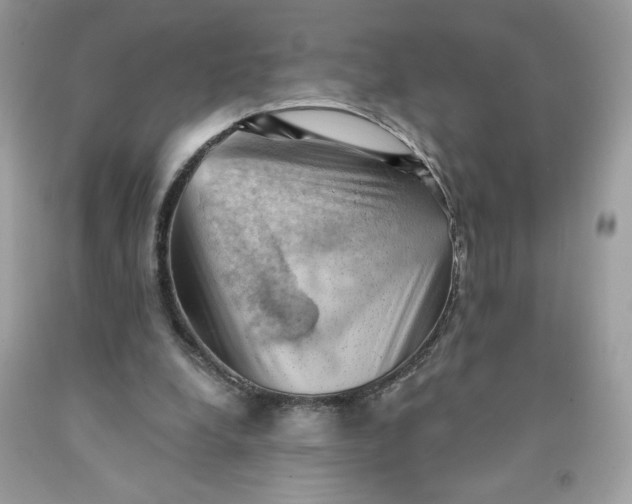 X0000091570248200709051045