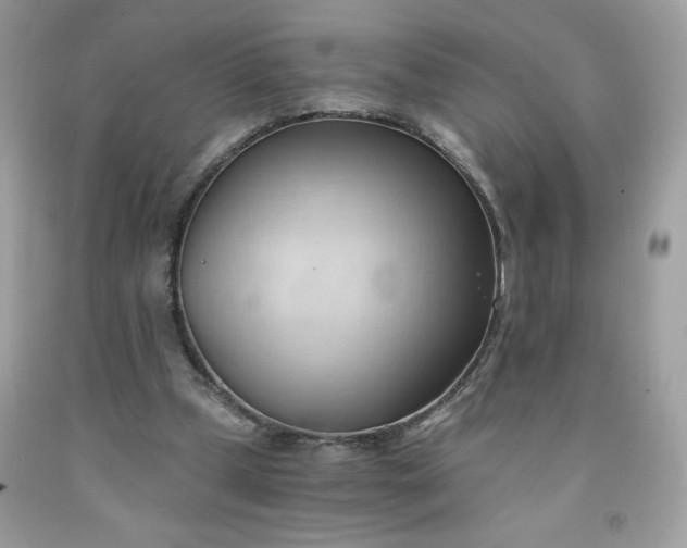 X0000091570249200709051045