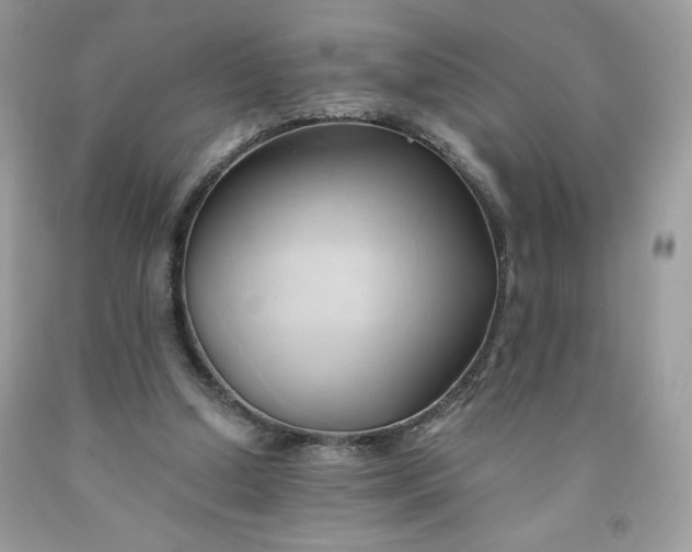 X0000091570250200709051045