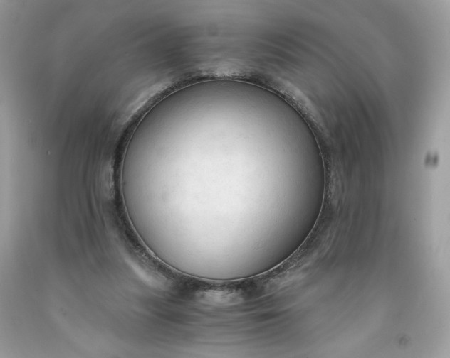 X0000091570251200709051045