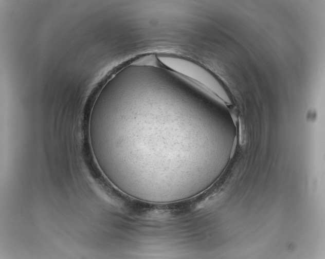 X0000091570252200709051045