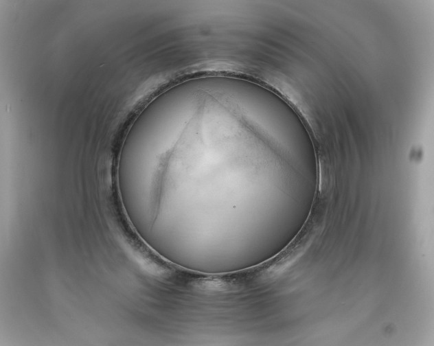 X0000091570253200709051045