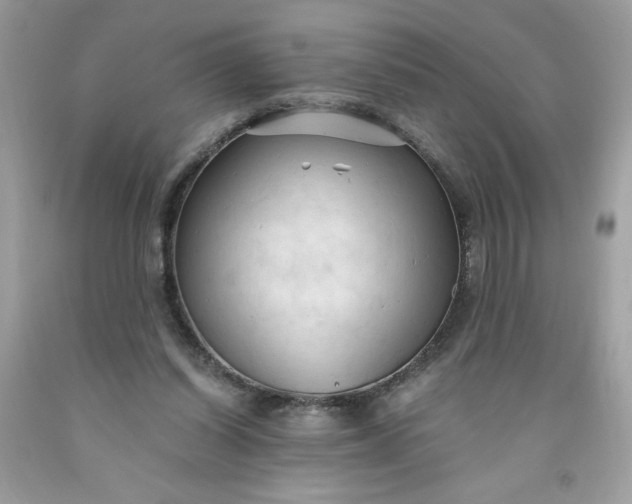 X0000091570254200709051045