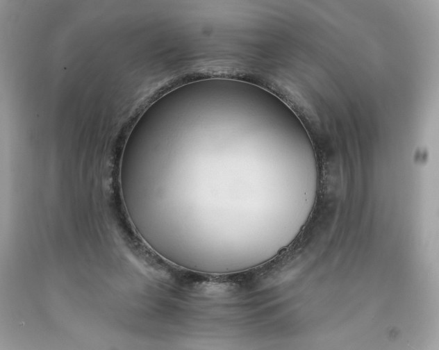 X0000091570255200709051045