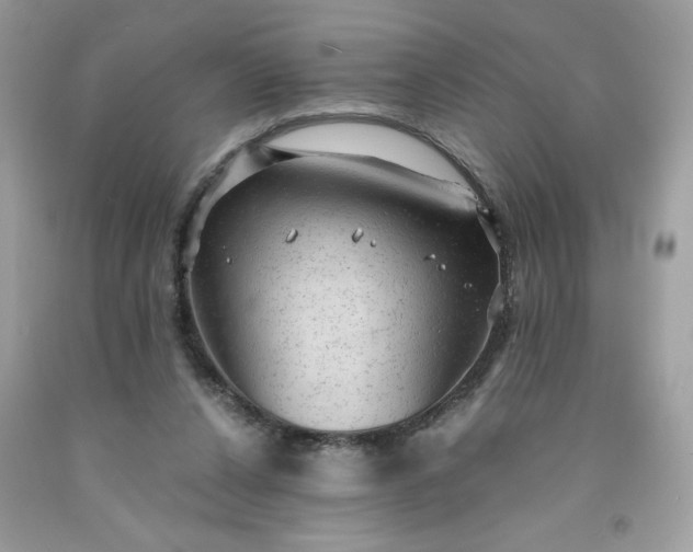 X0000091570256200709051045