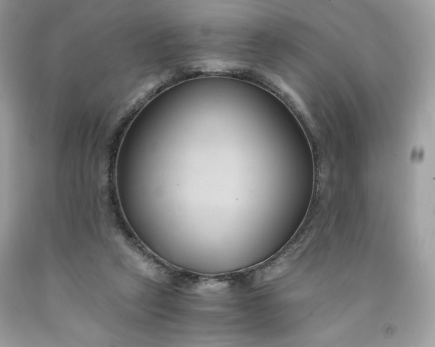 X0000091570257200709051045