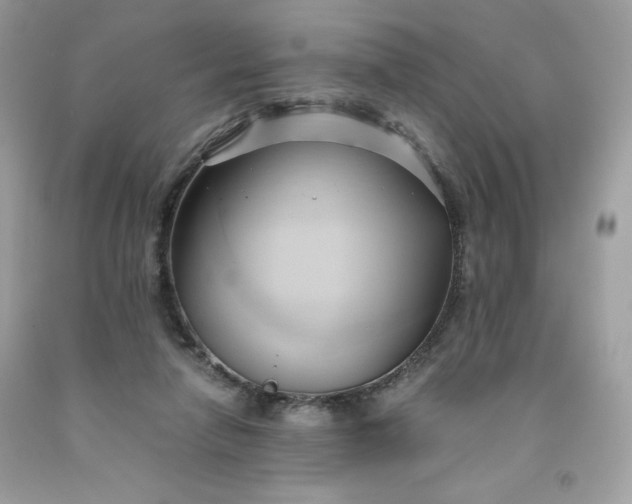 X0000091570258200709051045