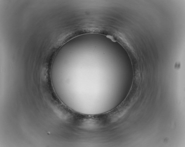 X0000091570259200709051045