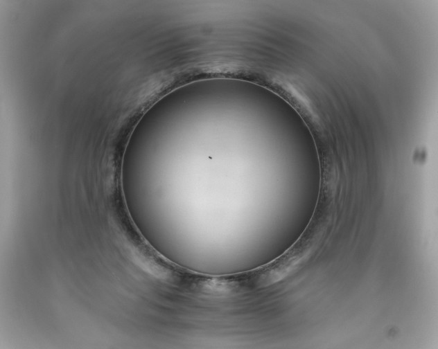 X0000091570261200709051045