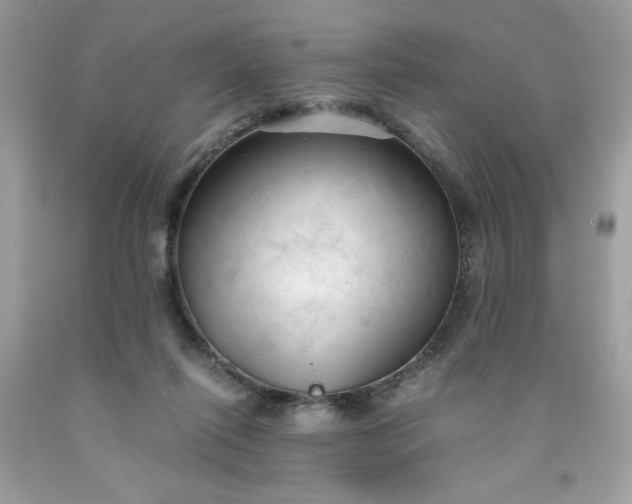 X0000091570262200709051045