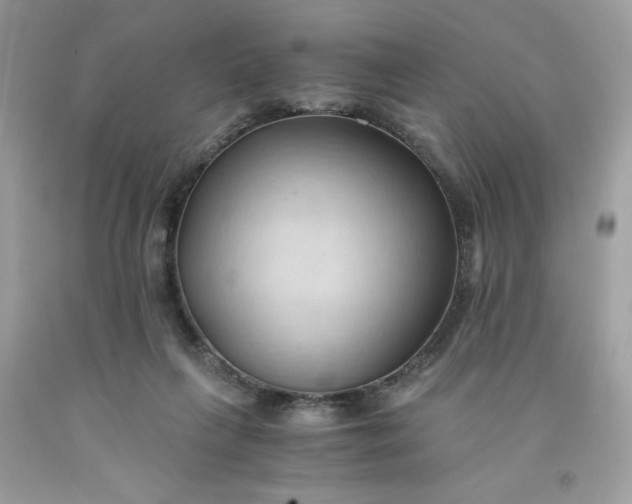 X0000091570263200709051045