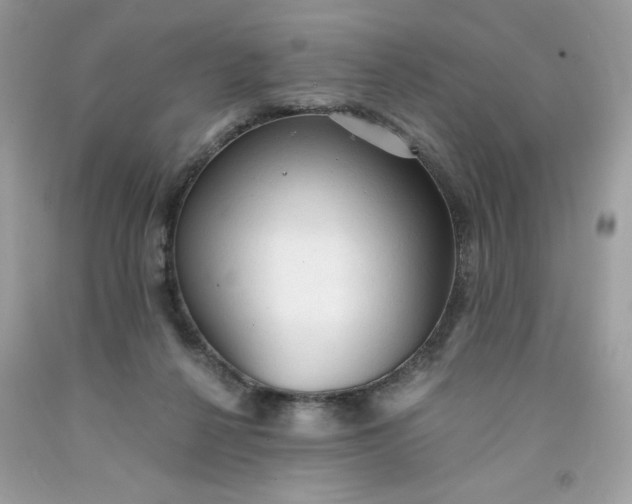 X0000091570264200709051045