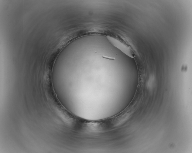 X0000091570265200709051045