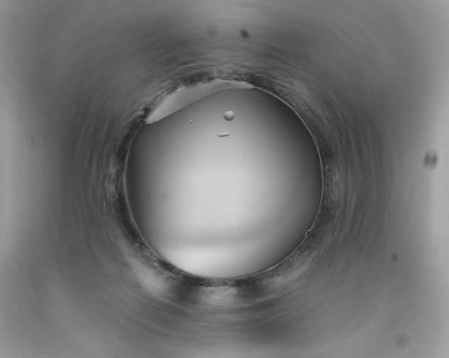 X0000091570266200709051045