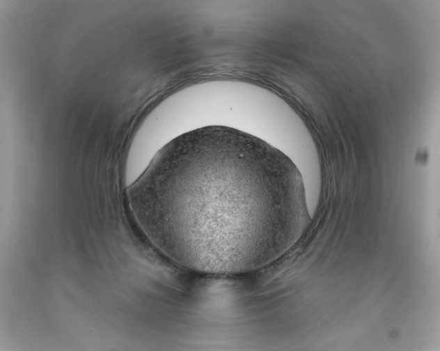X0000091570268200709051045