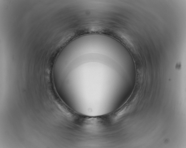 X0000091570269200709051045