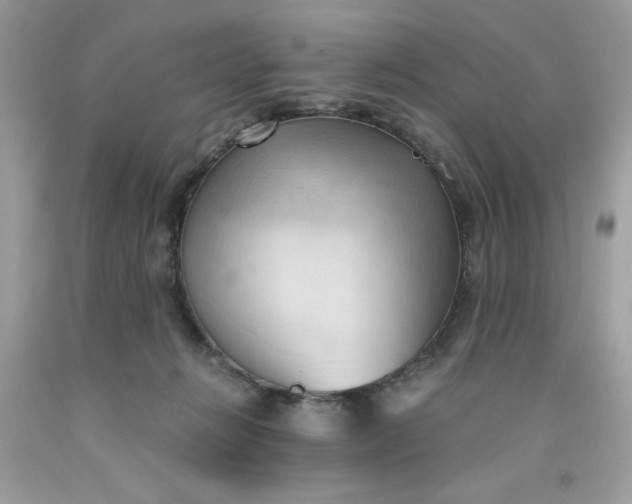 X0000091570270200709051045