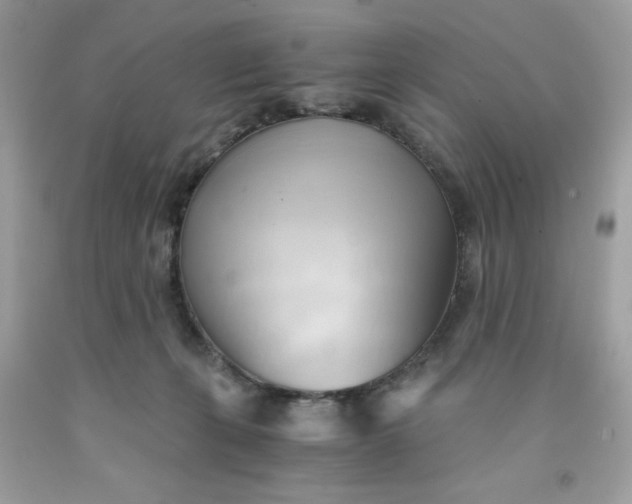 X0000091570271200709051045