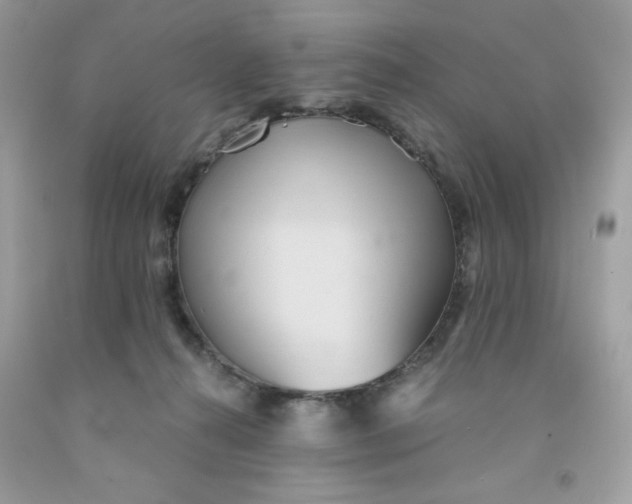 X0000091570272200709051045