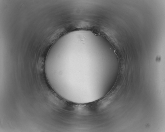 X0000091570273200709051045
