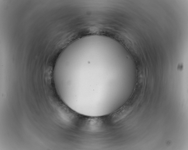 X0000091570275200709051045