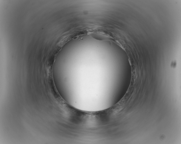 X0000091570276200709051045