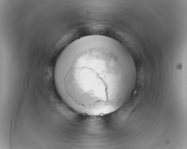 X0000091570278200709051045