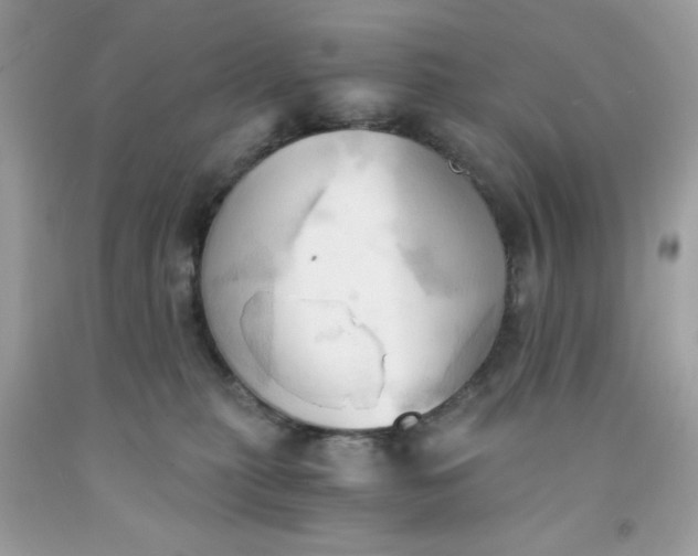X0000091570279200709051045