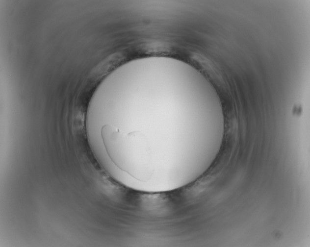 X0000091570281200709051045