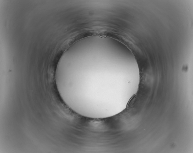 X0000091570283200709051045
