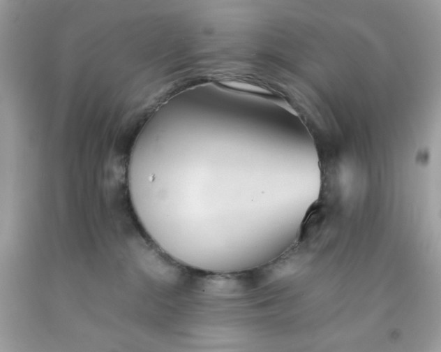 X0000091570284200709051045