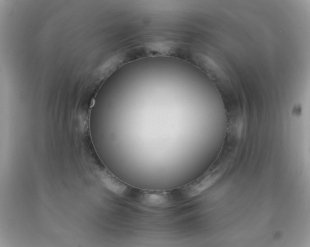X0000091570285200709051045