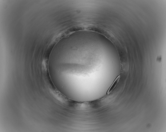 X0000091570286200709051045