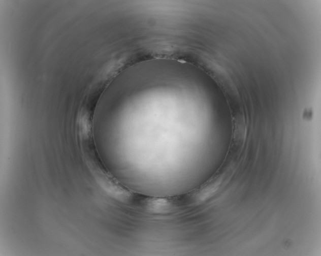 X0000091570287200709051045
