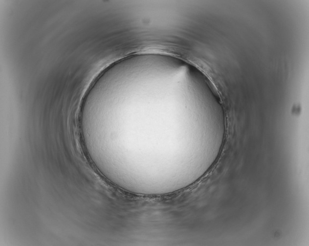 X0000091570289200709051045