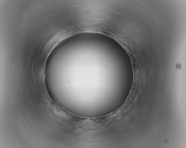 X0000091570290200709051045