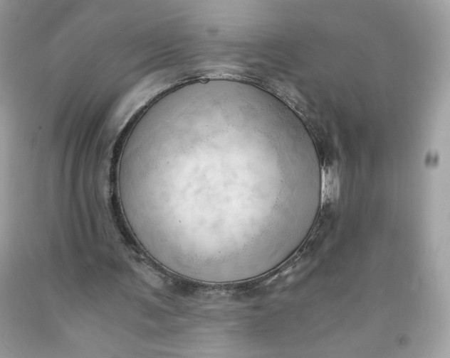 X0000091570291200709051045
