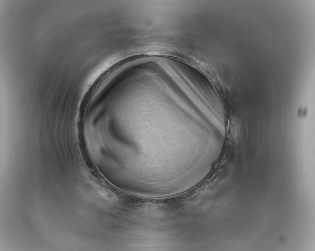 X0000091570292200709051045