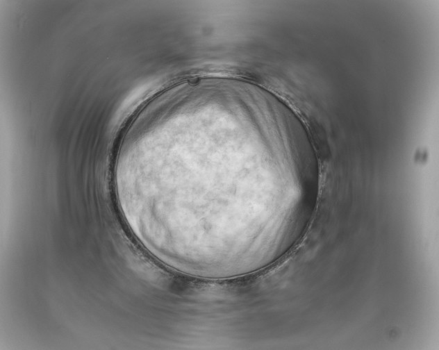X0000091570293200709051045