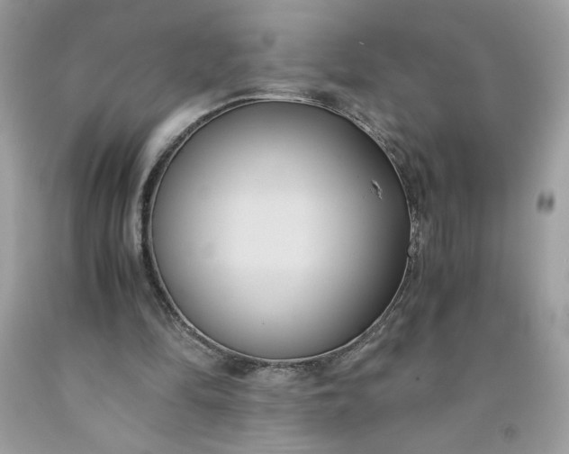 X0000091570294200709051045