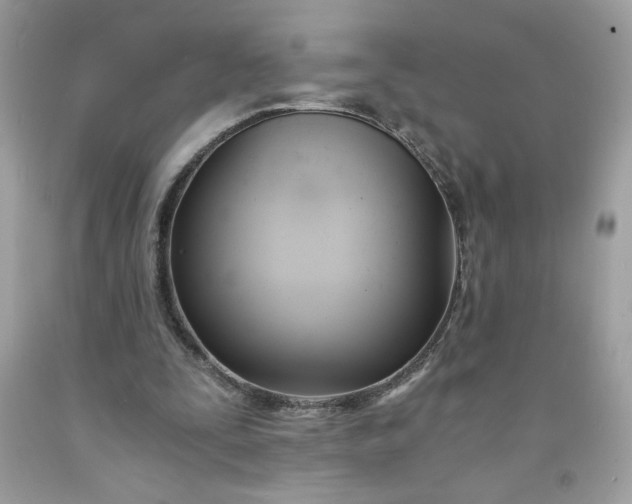 X0000091570295200709051045