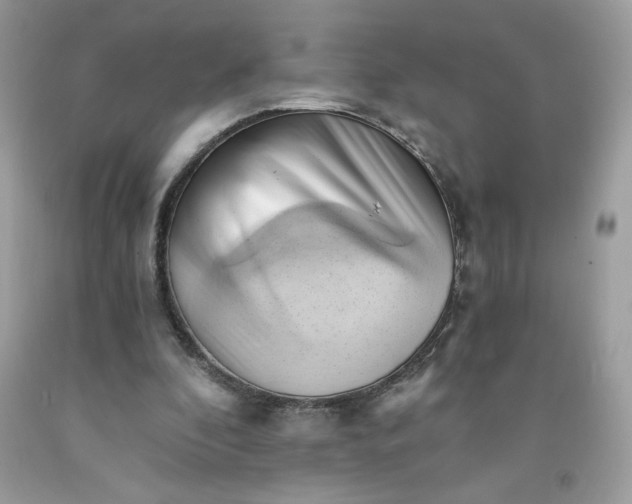 X0000091570296200709051045