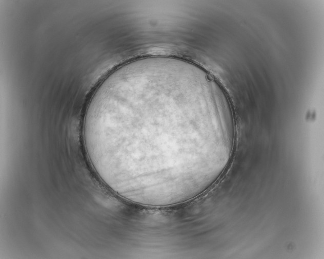 X0000091570297200709051045