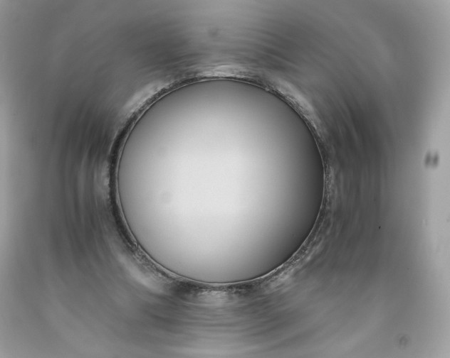 X0000091570298200709051045