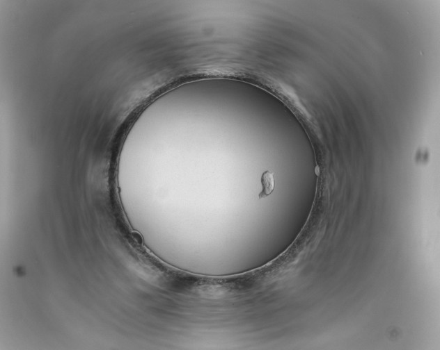 X0000091570299200709051045